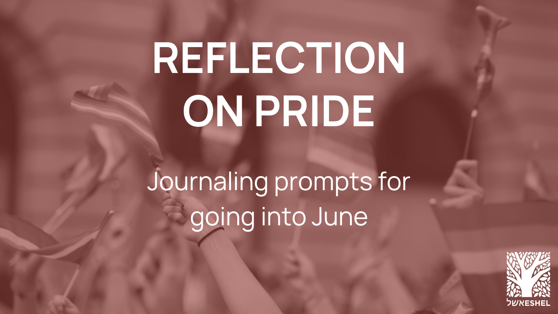 reflection on pride: journaling prompts for going into June