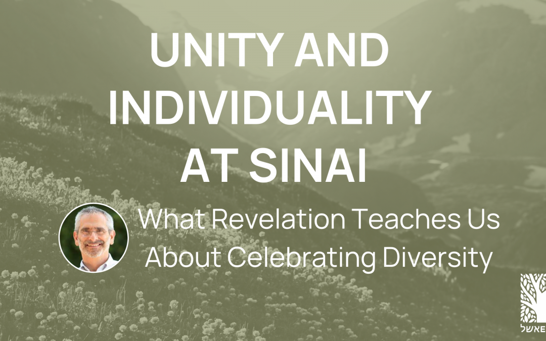 Unity and Diversity at Sinai