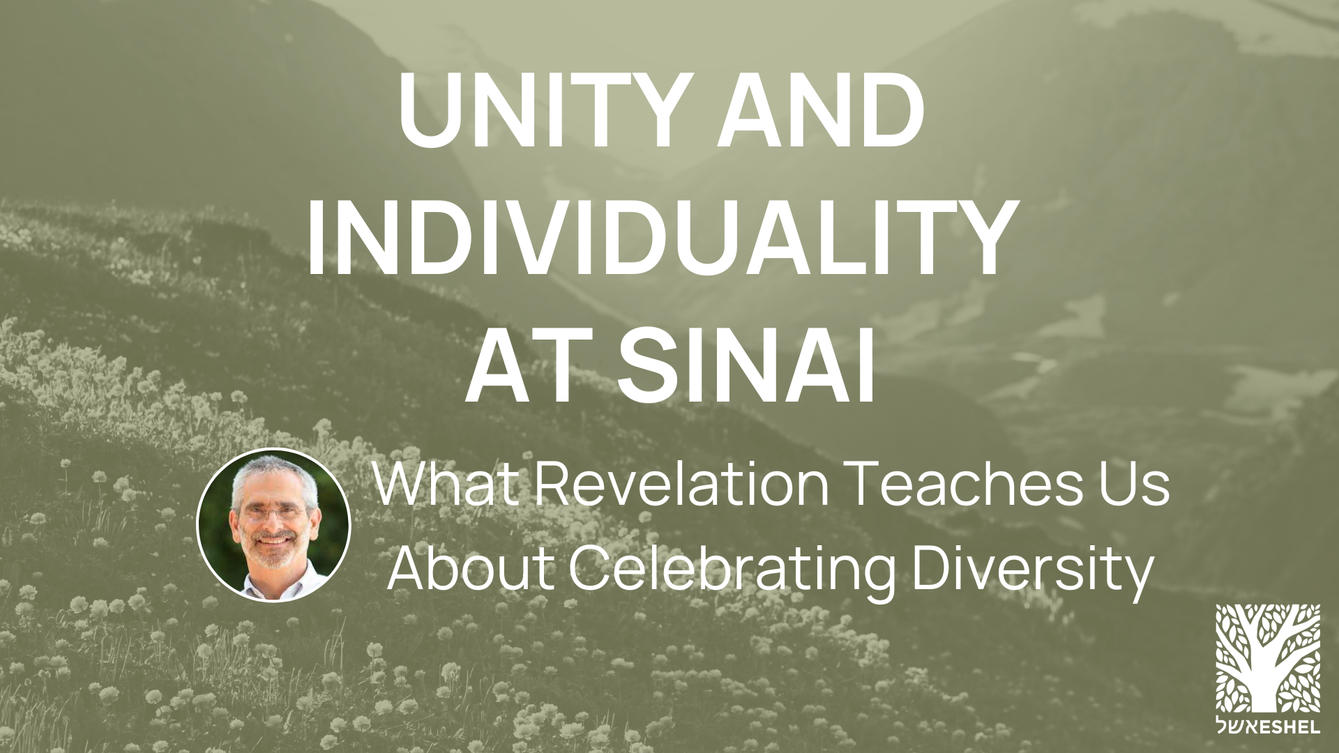 Unity and Individuality at Sinai | What Revelation Teaches Us About Celebrating Diversity